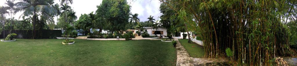 San San Tropez Hotel Port Antonio Exterior photo